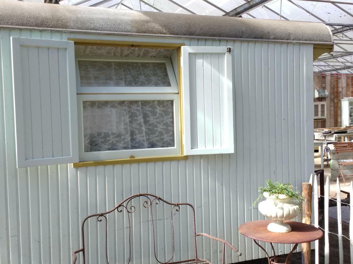 Pipowagen Overnachting Het Houten Huis Zaltbommel Luaran gambar
