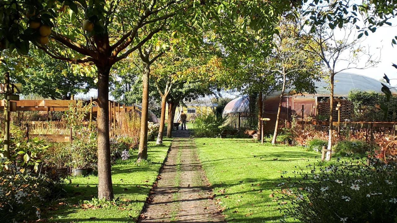 Pipowagen Overnachting Het Houten Huis Zaltbommel Luaran gambar